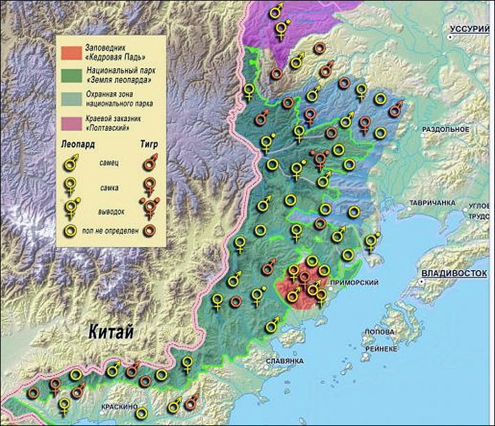 Amur Leopard Habitat Map